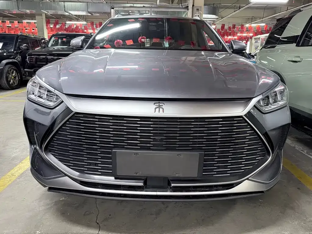 BYD PLUS New Energy 2022 из CN, фото 6
