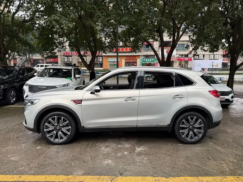 Hongqi HS5 2022 из CN, фото 10