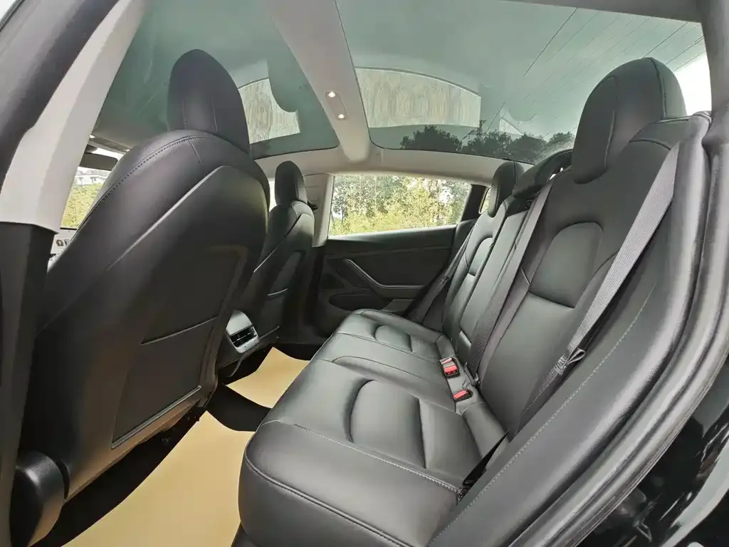 Tesla Model 3 2021 из CN, фото 2