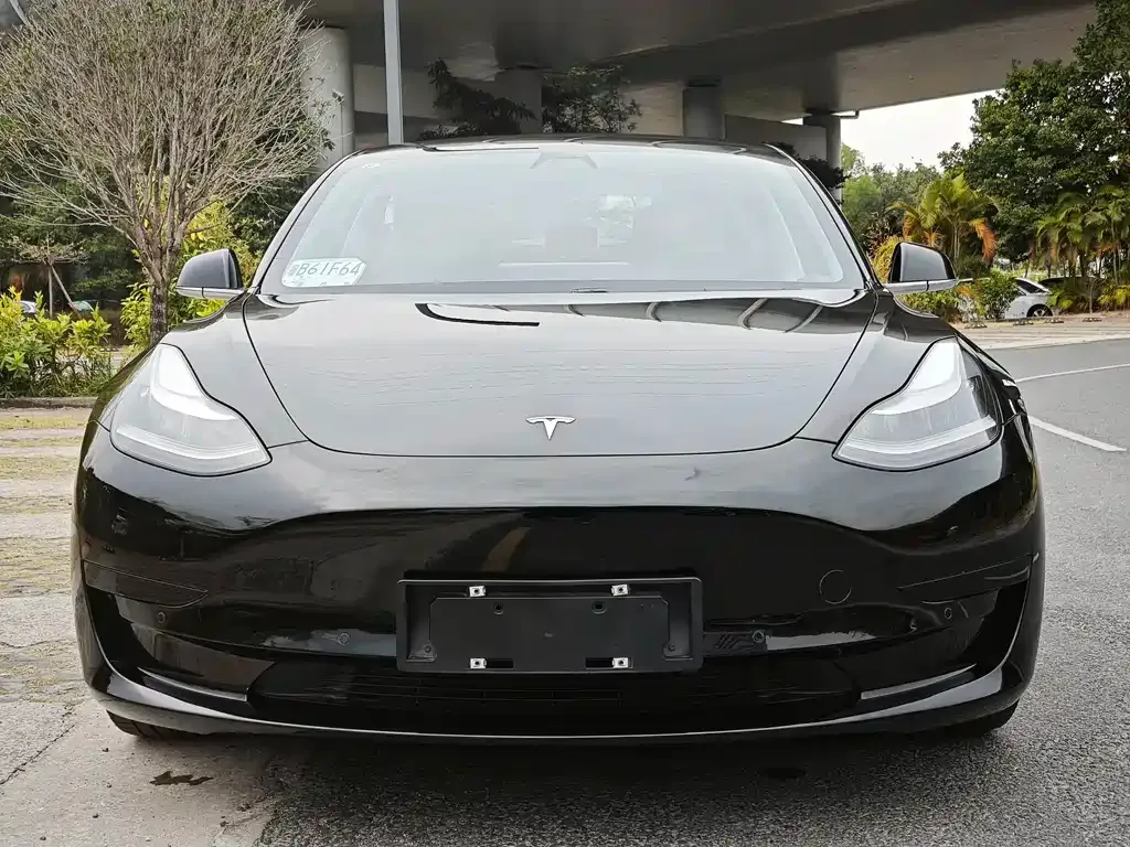 Tesla Model 3 2021 из CN, фото 4