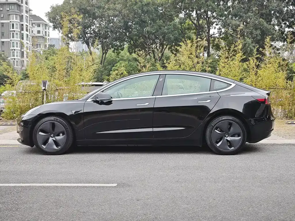 Tesla Model 3 2021 из CN, фото 7