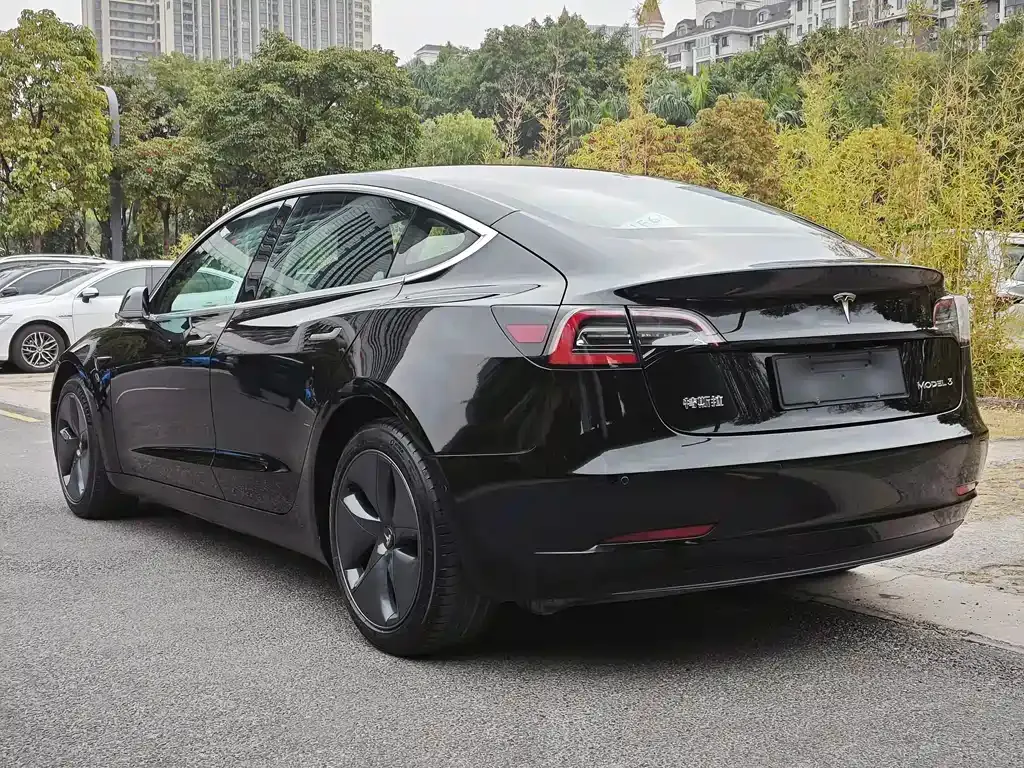 Tesla Model 3 2021 из CN, фото 6