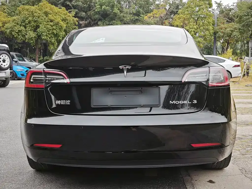 Tesla Model 3 2021 из CN, фото 5