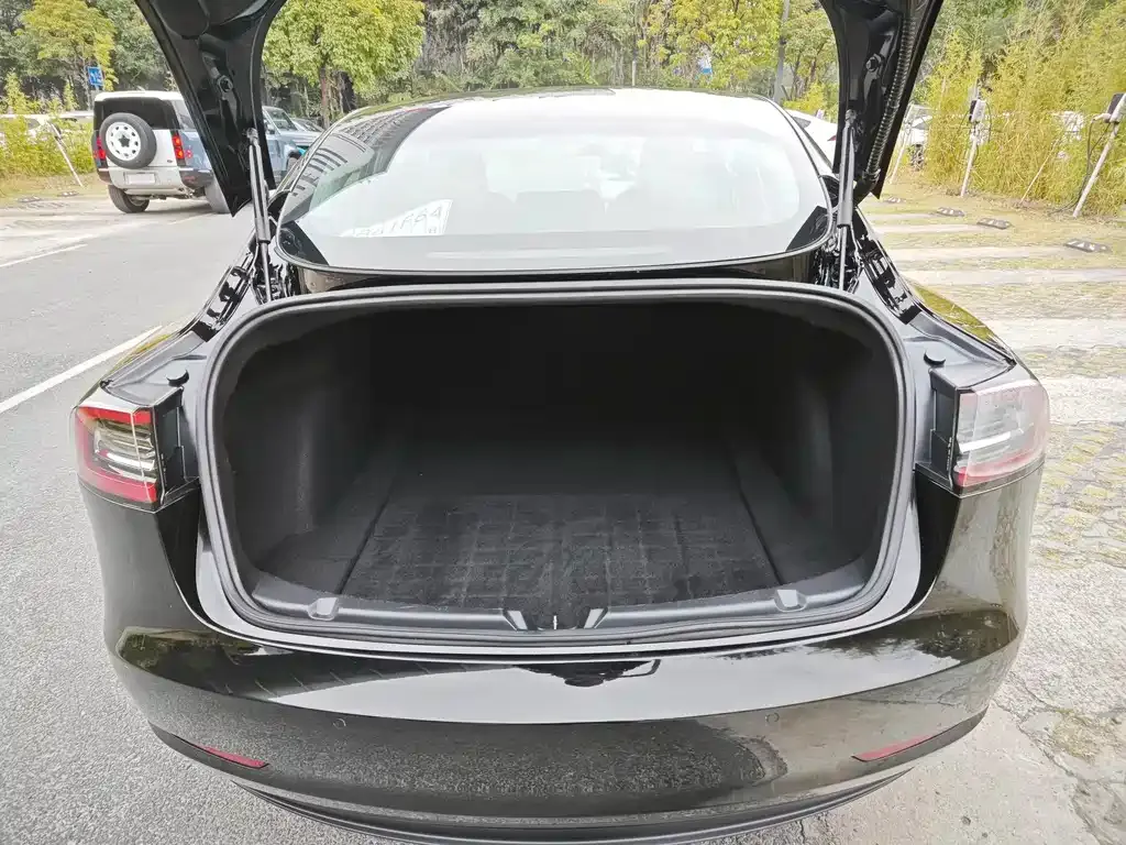 Tesla Model 3 2021 из CN, фото 3