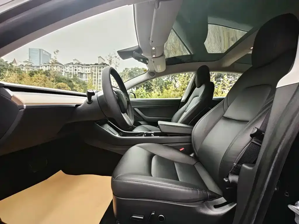 Tesla Model 3 2021 из CN, фото 8