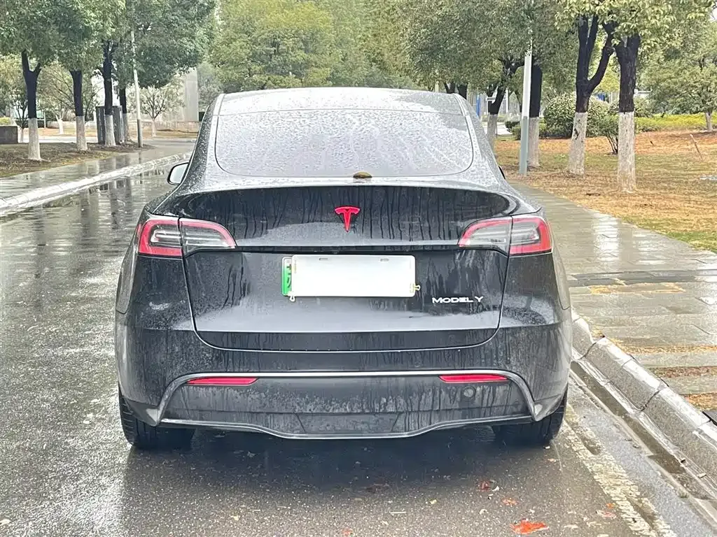 Tesla Model Y 2022 из CN, фото 5