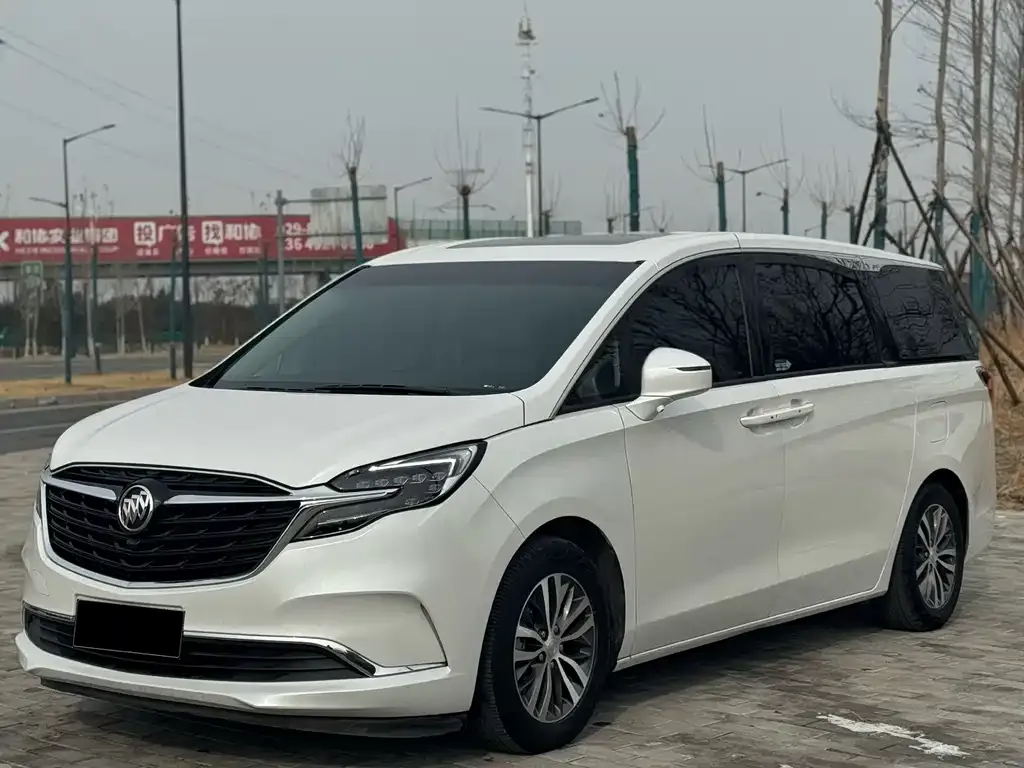 Buick GL8 2021 из CN, фото 8