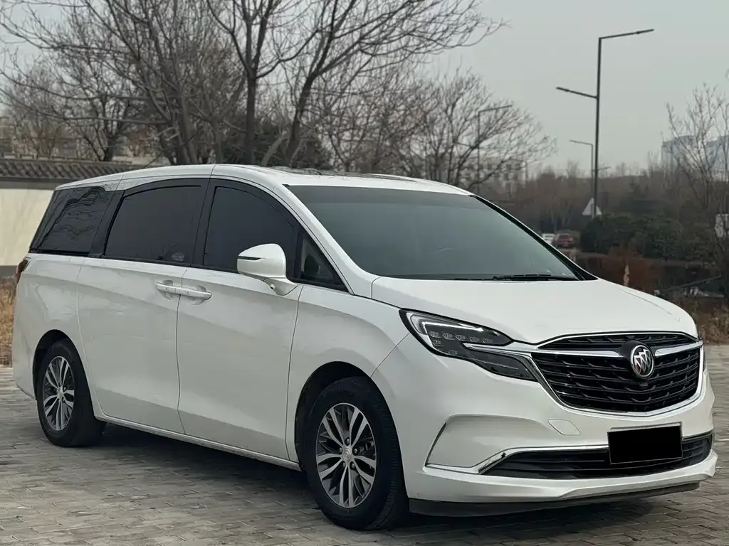 Buick GL8 2021 из CN, фото 9