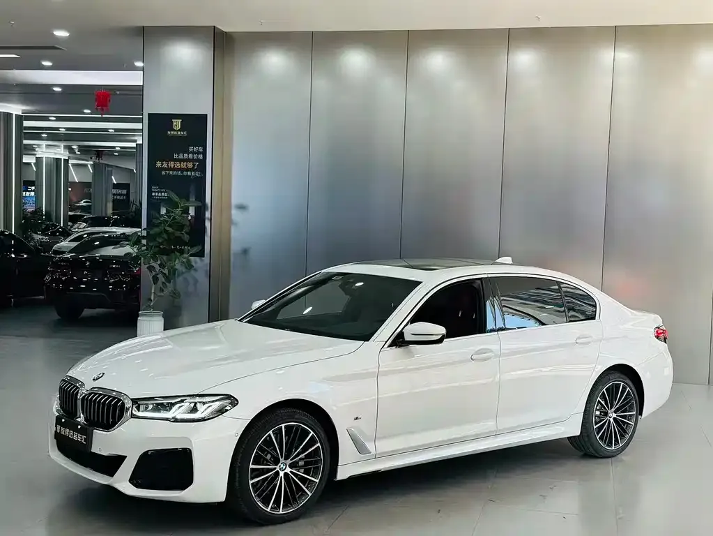 BMW 5 Series 2021 из CN, фото 1