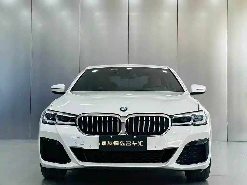 BMW 5 Series 2021 из CN, фото 4
