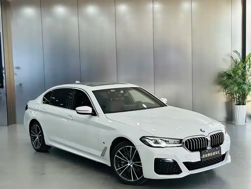 BMW 5 Series 2021 из CN, фото 2