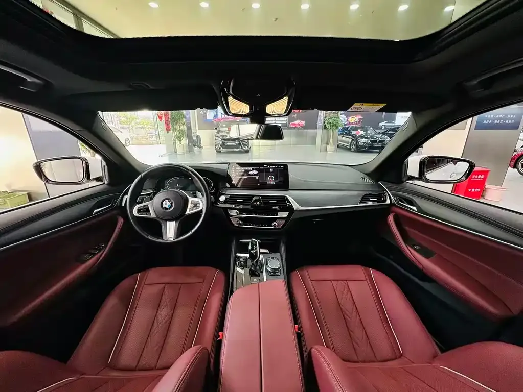BMW 5 Series 2021 из CN, фото 7
