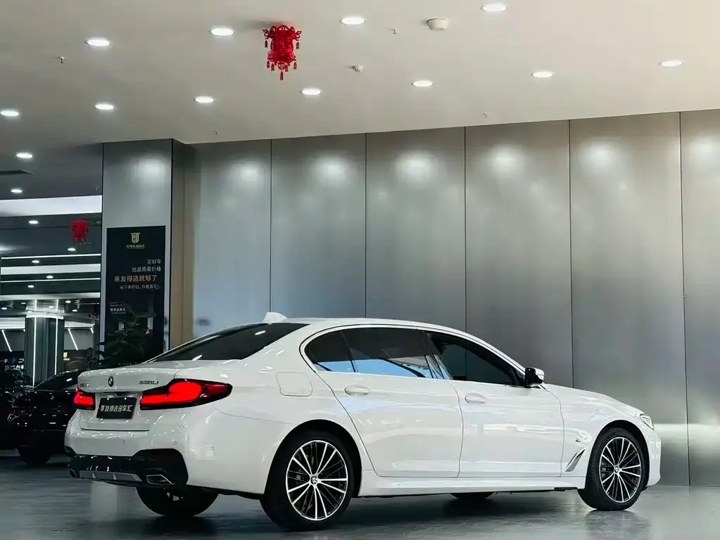 BMW 5 Series 2021 из CN, фото 3