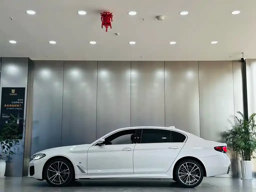 BMW 5 Series 2021 из CN, фото 8