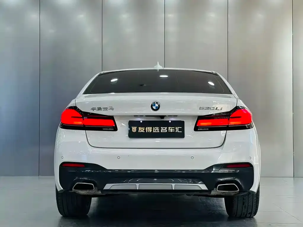 BMW 5 Series 2021 из CN, фото 5