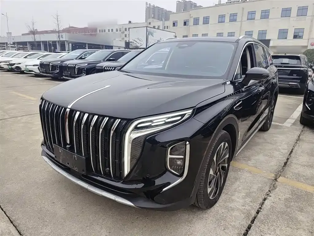 Hongqi HS7 PHEV 2024 из CN, фото 1