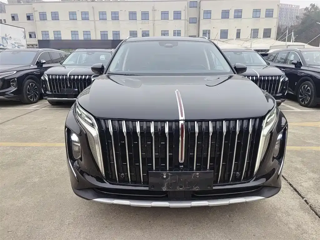 Hongqi HS7 PHEV 2024 из CN, фото 8