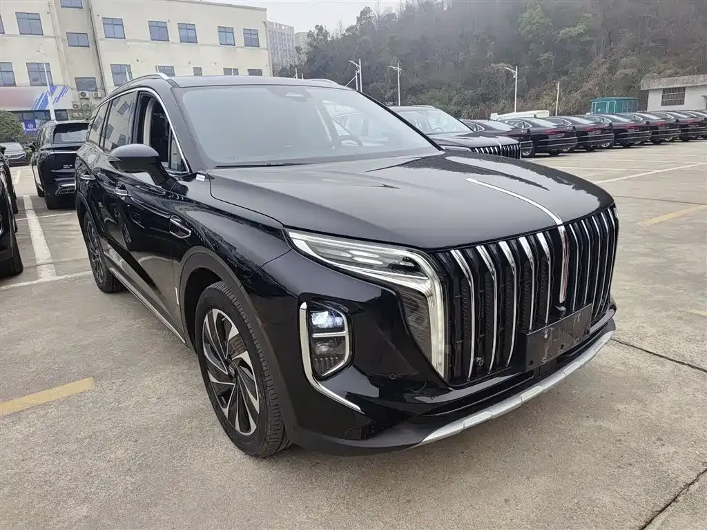 Hongqi HS7 PHEV 2024 из CN, фото 5