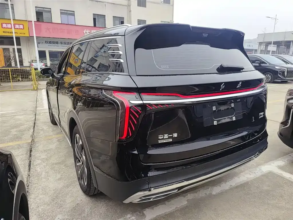 Hongqi HS7 PHEV 2024 из CN, фото 6