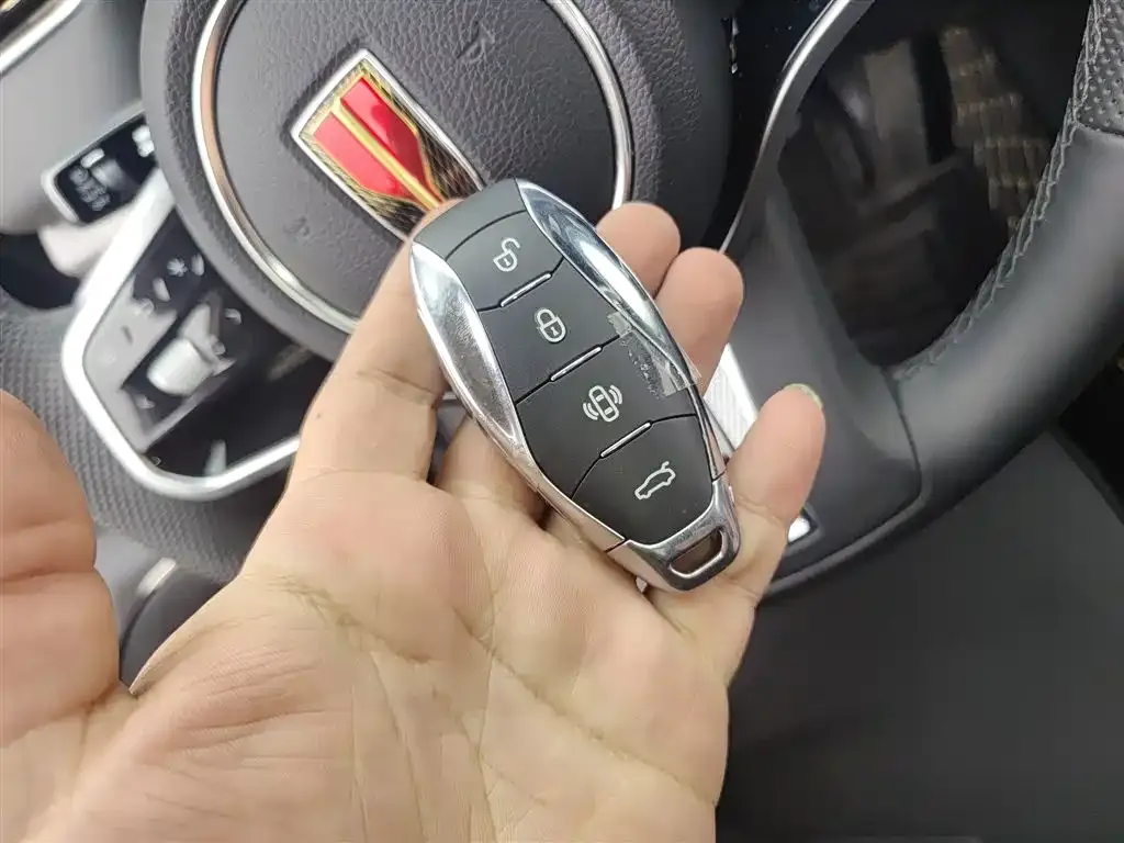 Hongqi HS7 PHEV 2024 из CN, фото 2