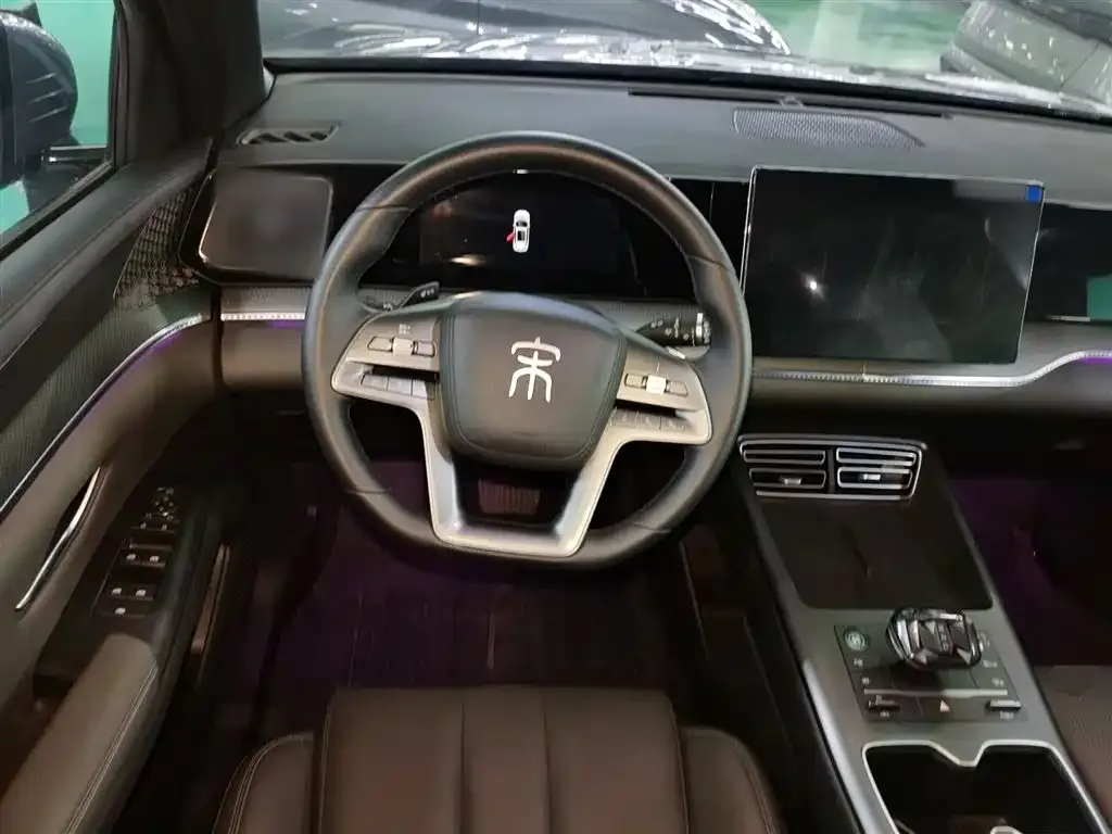 BYD Pro New Energy 2025 из CN, фото 7