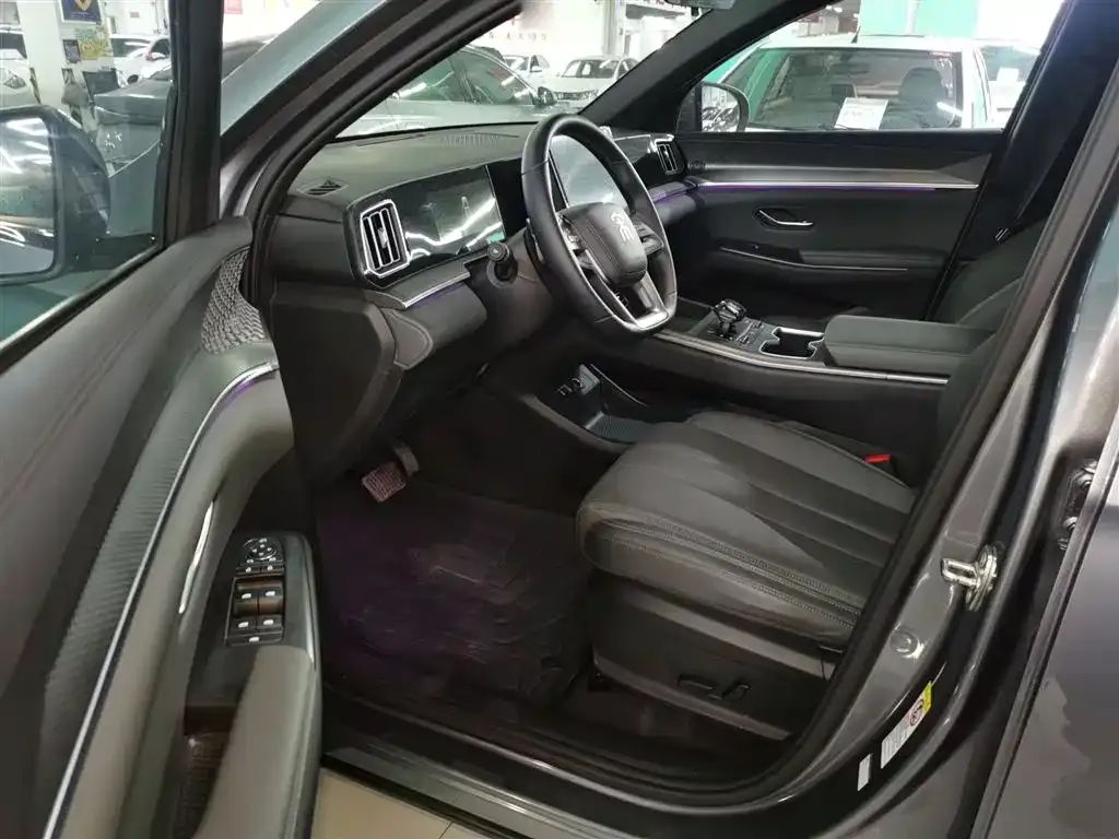 BYD Pro New Energy 2025 из CN, фото 6