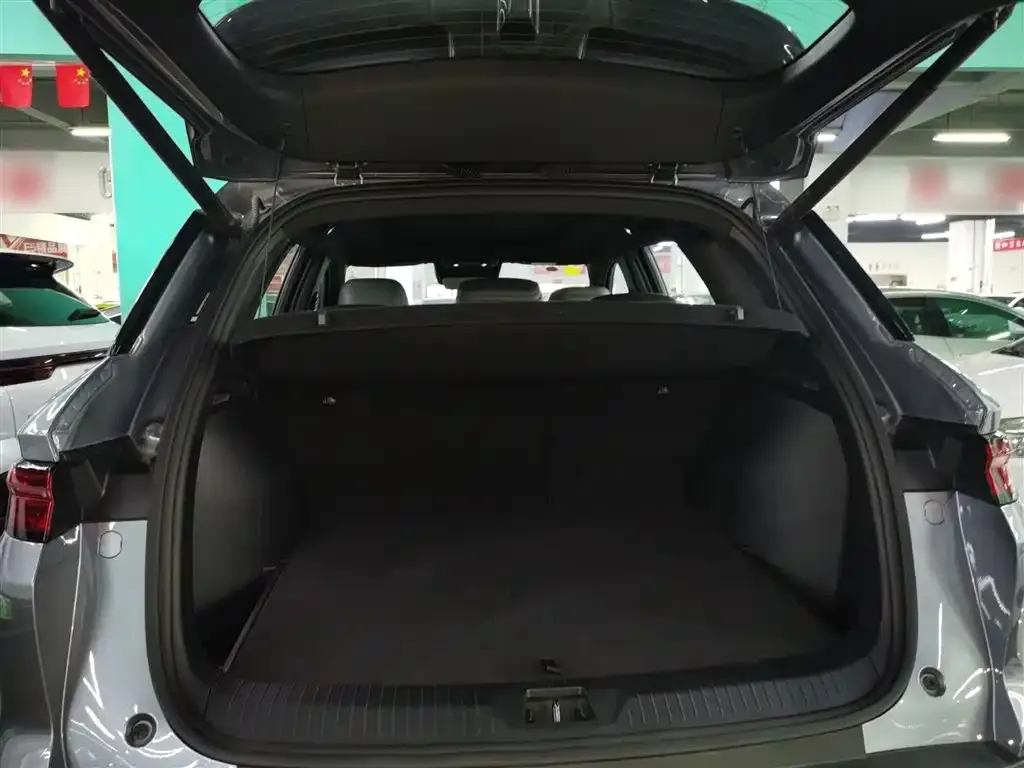 BYD Pro New Energy 2025 из CN, фото 5