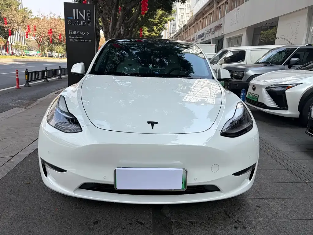 Tesla Model Y 2022 из CN, фото 1