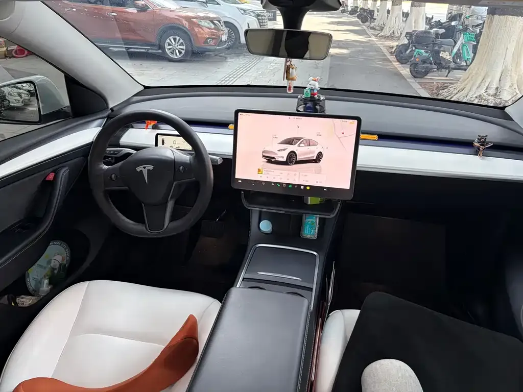 Tesla Model Y 2022 из CN, фото 6