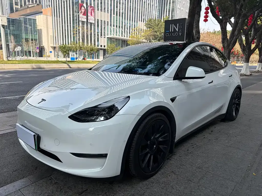 Tesla Model Y 2022 из CN, фото 7