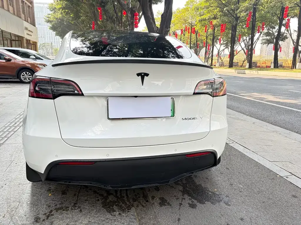 Tesla Model Y 2022 из CN, фото 10