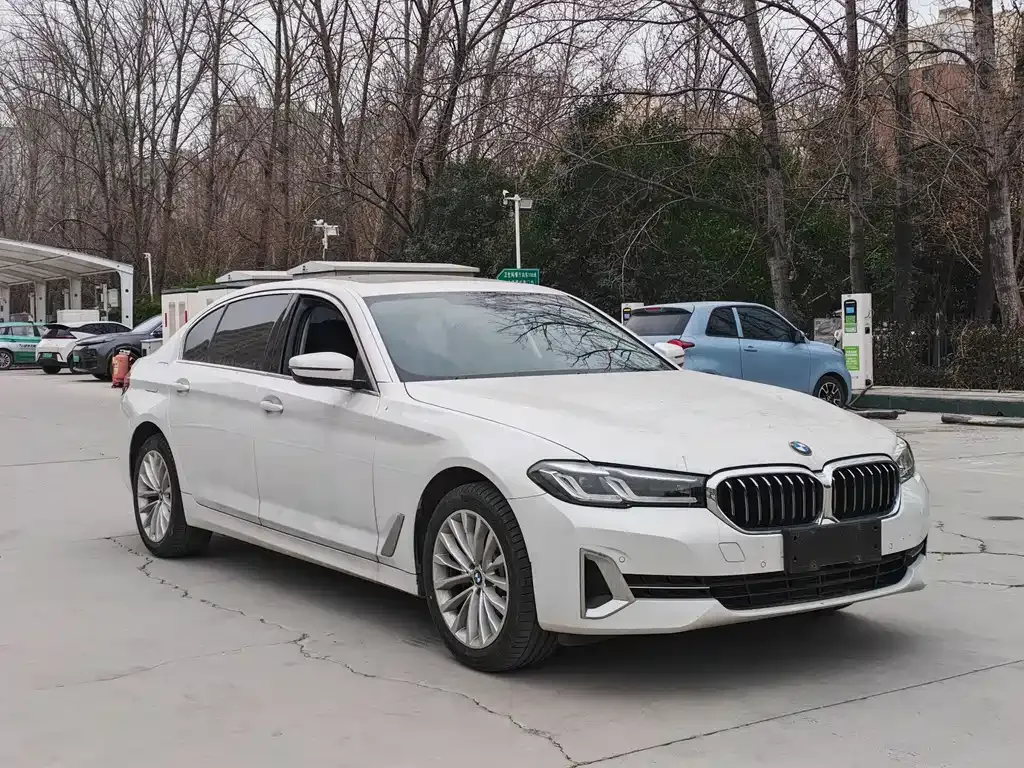 BMW 5 Series 2022 из CN, фото 9
