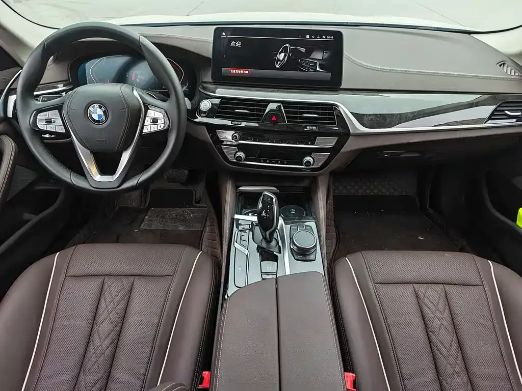 BMW 5 Series 2022 из CN, фото 6