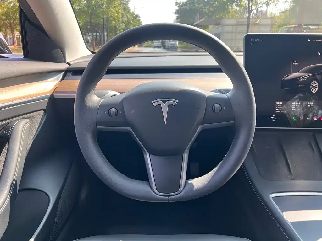 Tesla Model 3 2022 из CN, фото 4