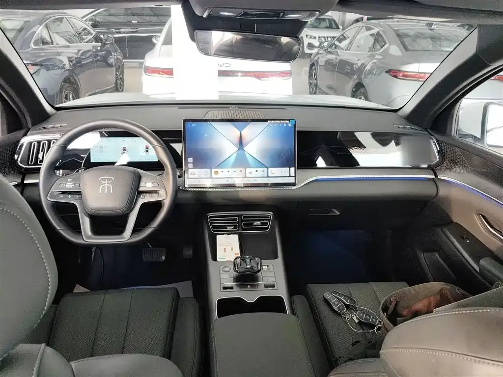 BYD Pro New Energy 2025 из CN, фото 10
