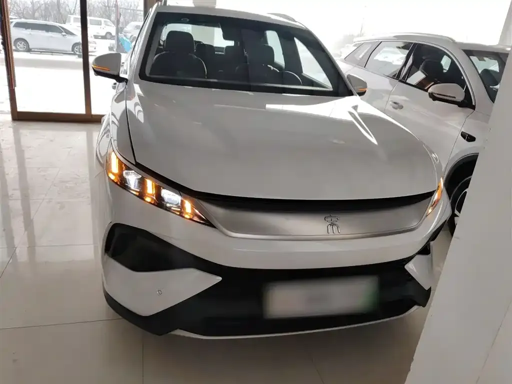 BYD Pro New Energy 2025 из CN, фото 2