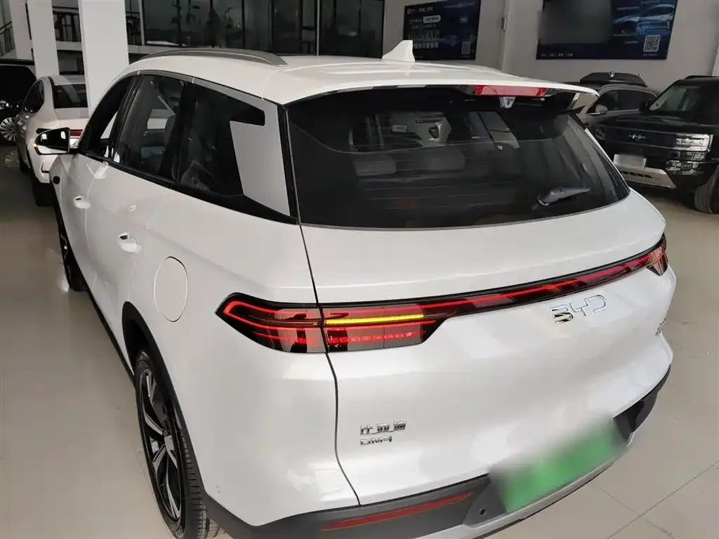 BYD Pro New Energy 2025 из CN, фото 7