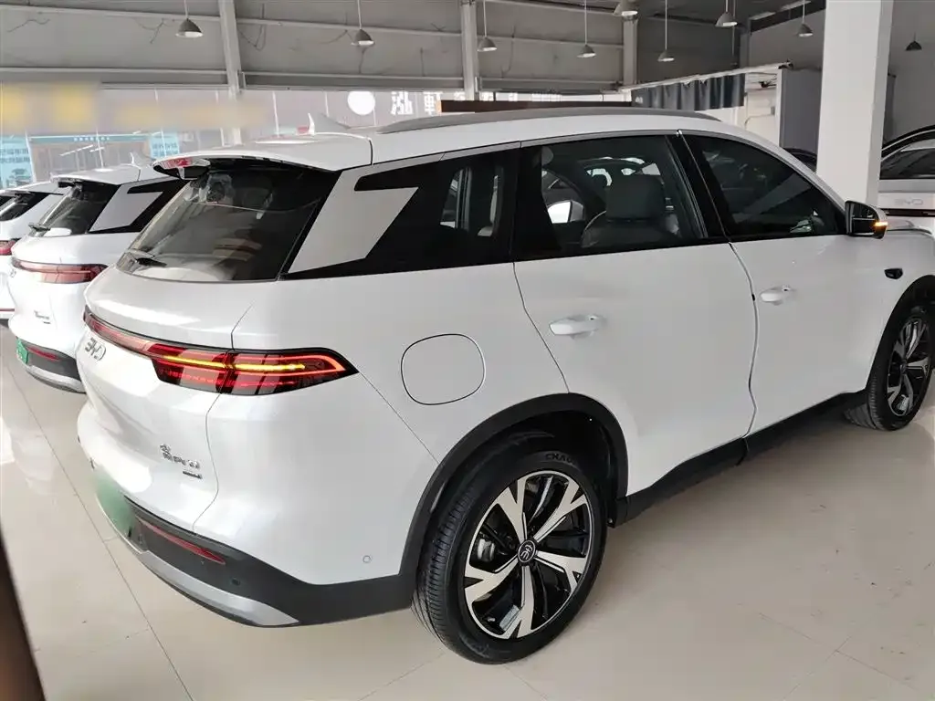 BYD Pro New Energy 2025 из CN, фото 8
