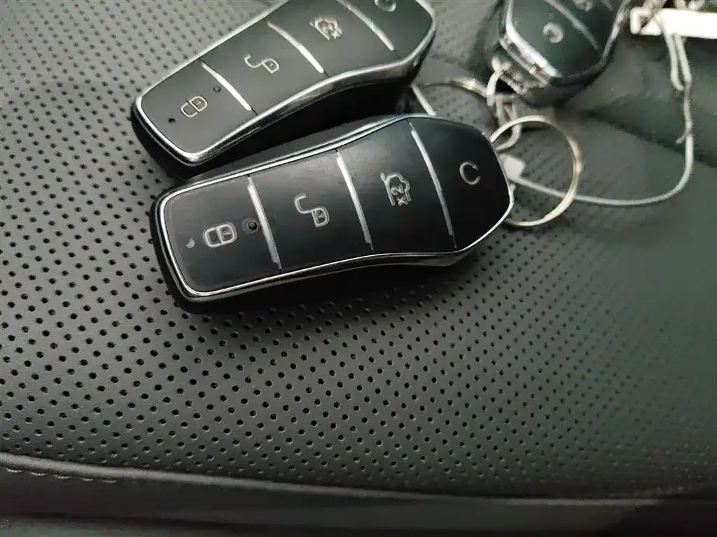 BYD Pro New Energy 2025 из CN, фото 6