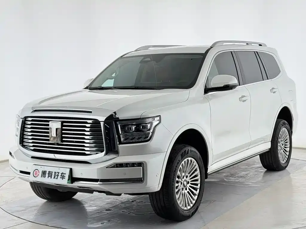 Tank 500 New Energy 2024 из CN, фото 1
