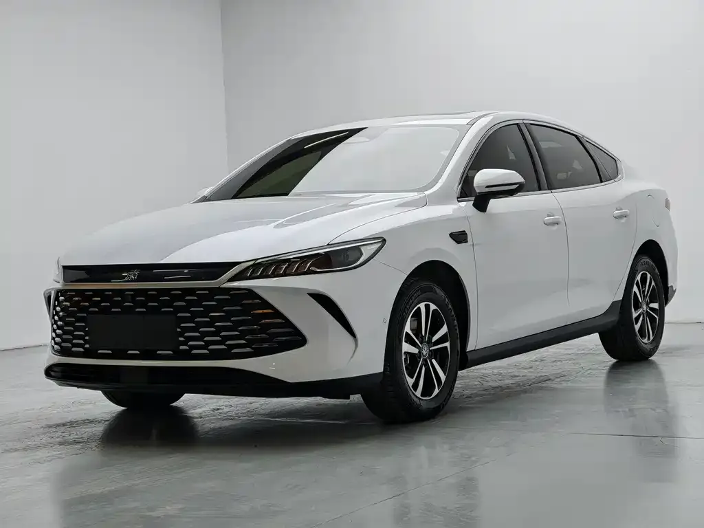 BYD Qin PLUS 2025 из CN, фото 1