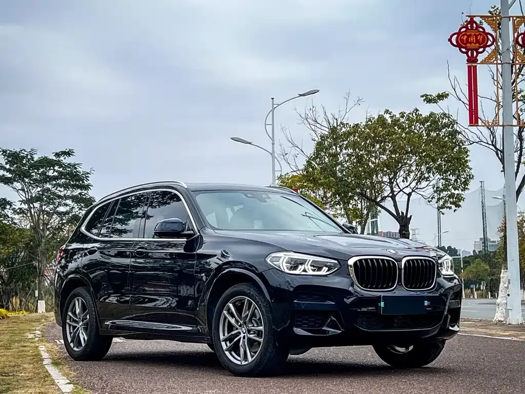 BMW X3 2021 из CN, фото 2