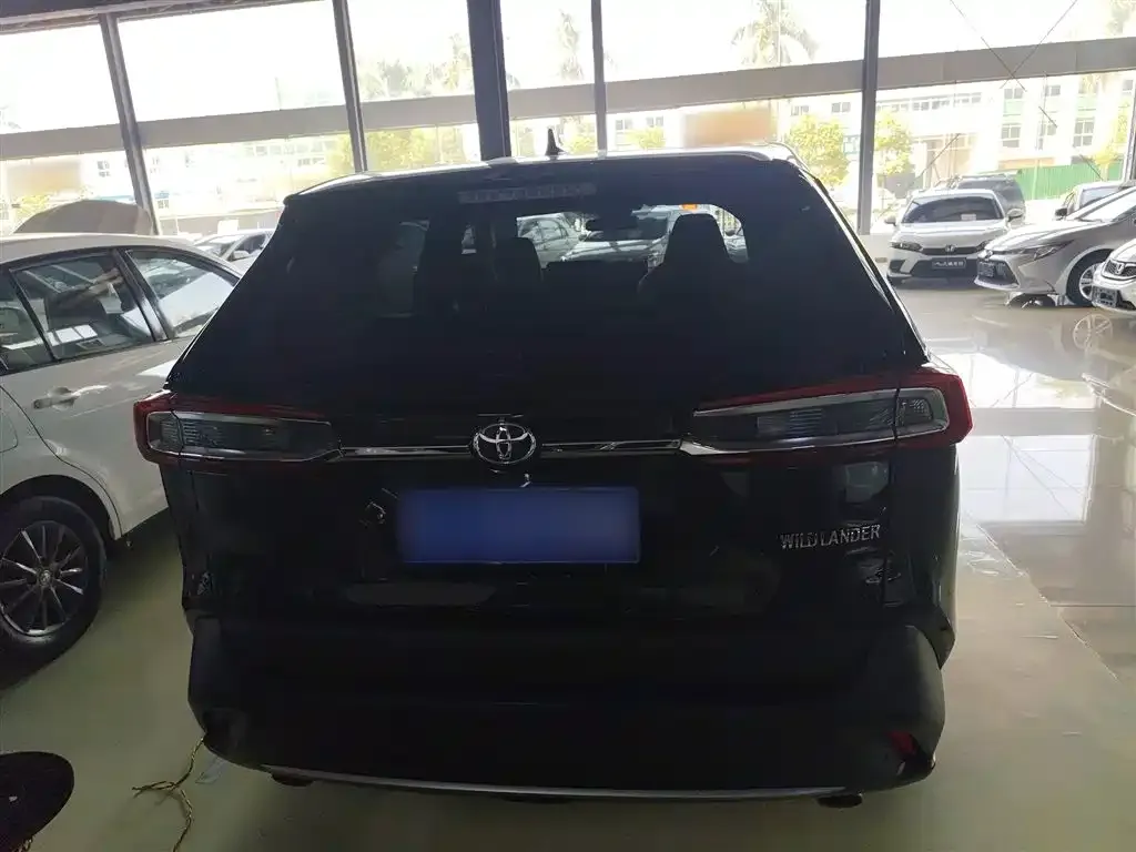 Toyota Wildlander 2022 из CN, фото 6