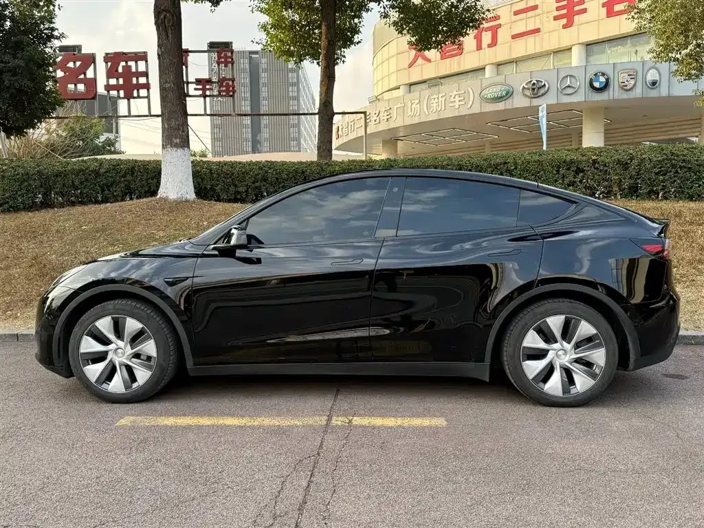 Tesla Model Y 2023 из CN, фото 6