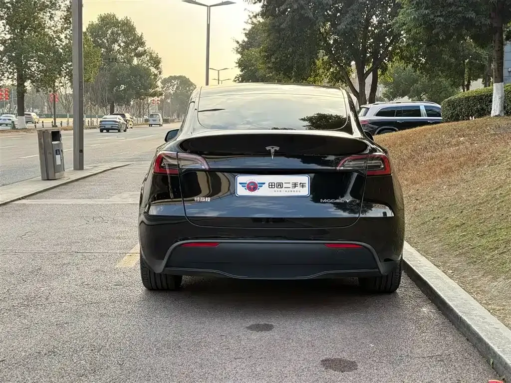 Tesla Model Y 2023 из CN, фото 9