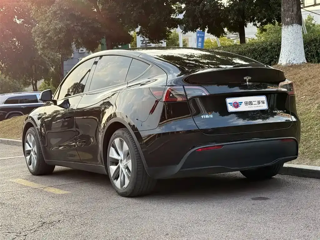 Tesla Model Y 2023 из CN, фото 8