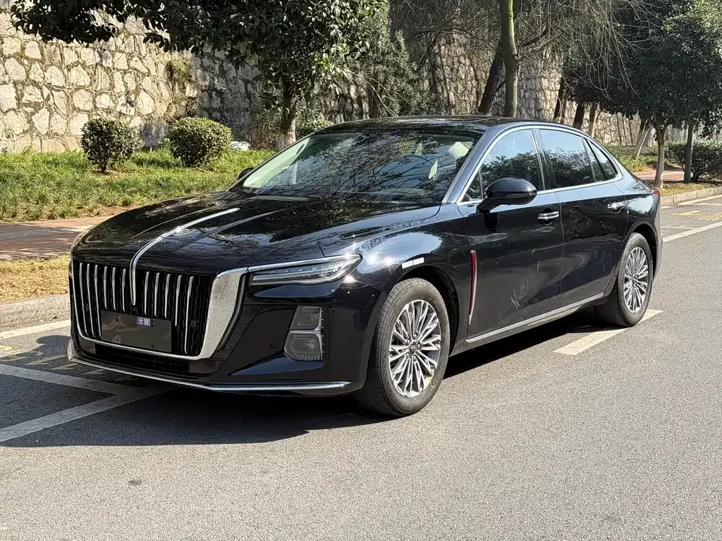 Hongqi H5 2023 из CN, фото 1