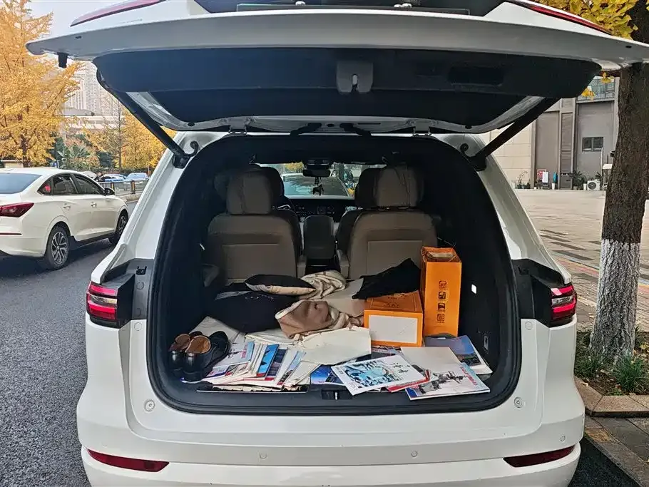 Li Auto ONE 2021 из CN, фото 9