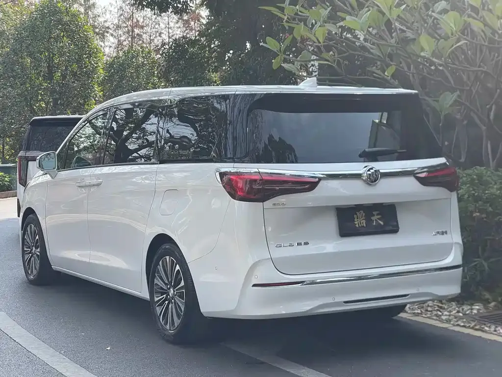 Buick GL8 2021 из CN, фото 7
