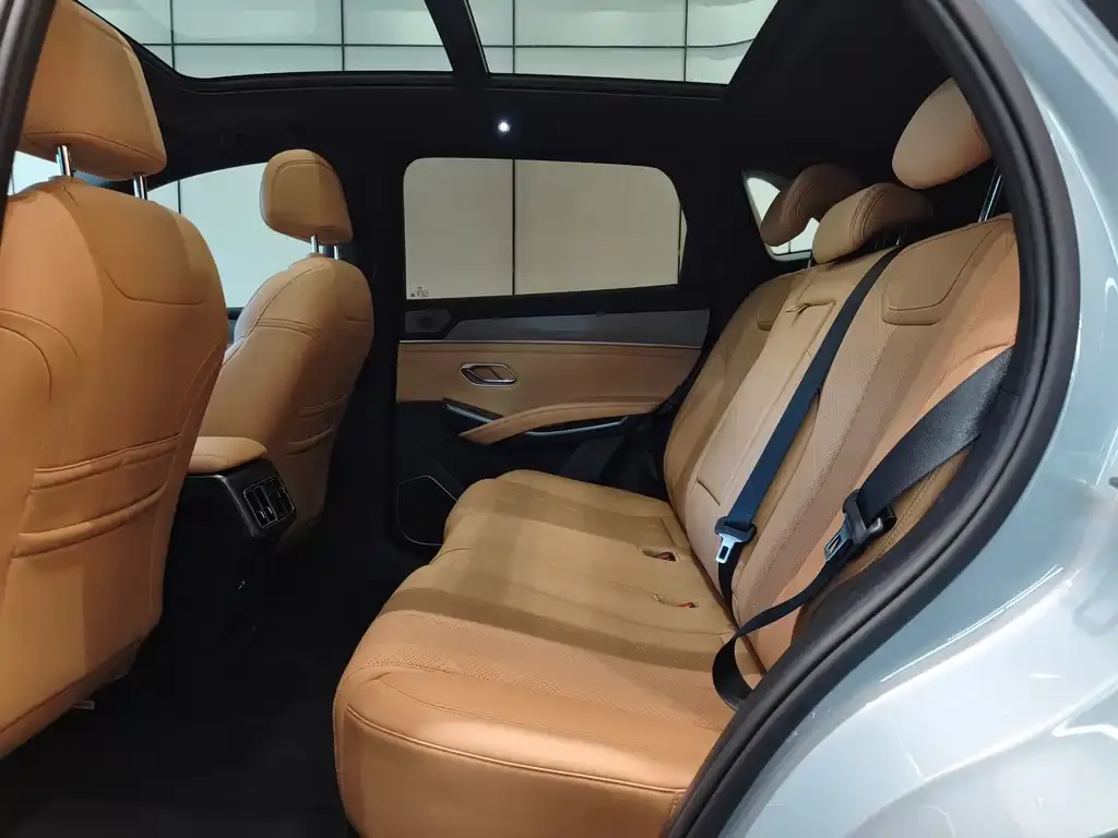 BYD L DM-i 2025 из CN, фото 5